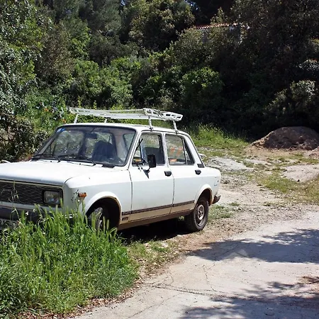 דירה By The Sea Pomena, Mljet - 10426 גובדארי