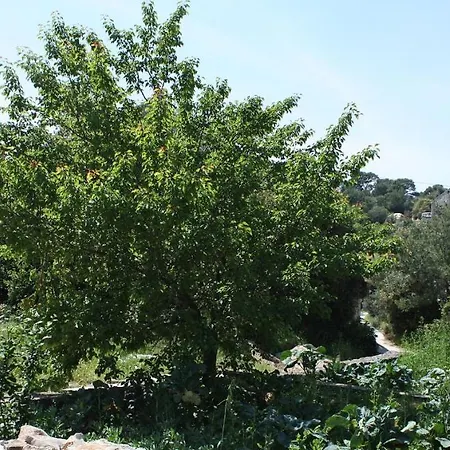 By The Sea Pomena, Mljet - 10426