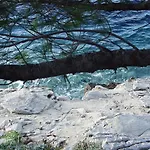 By The Sea Pomena - Mljet - 10426 גובדארי