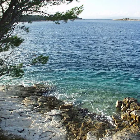 Apartman By The Sea Pomena, Mljet - 10426 *