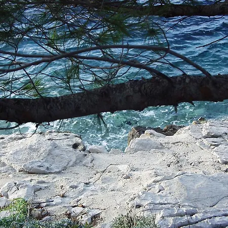 By The Sea Pomena, Mljet - 10426 古维达里