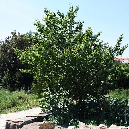 By The Sea Pomena, Mljet - 10426 Goveđari